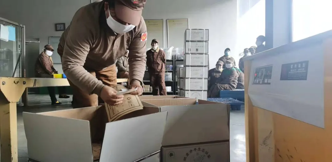 精益求精&middot;鑄造品質(zhì)｜六大茶山第十四屆技術(shù)大比武圓滿完成